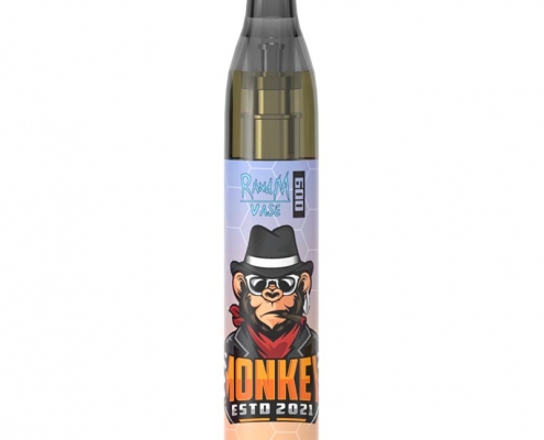 RandM Vase 600 Disposable Vape Pen
